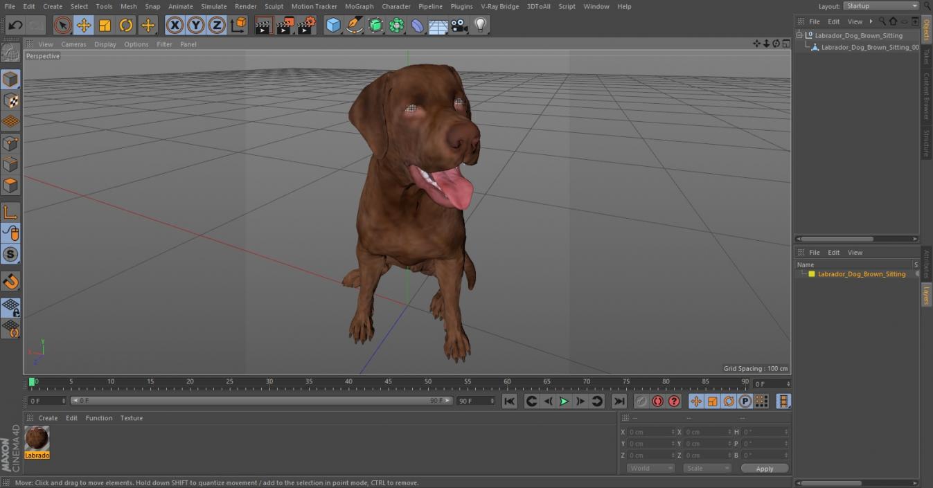 3D Labrador Dog Brown Sitting