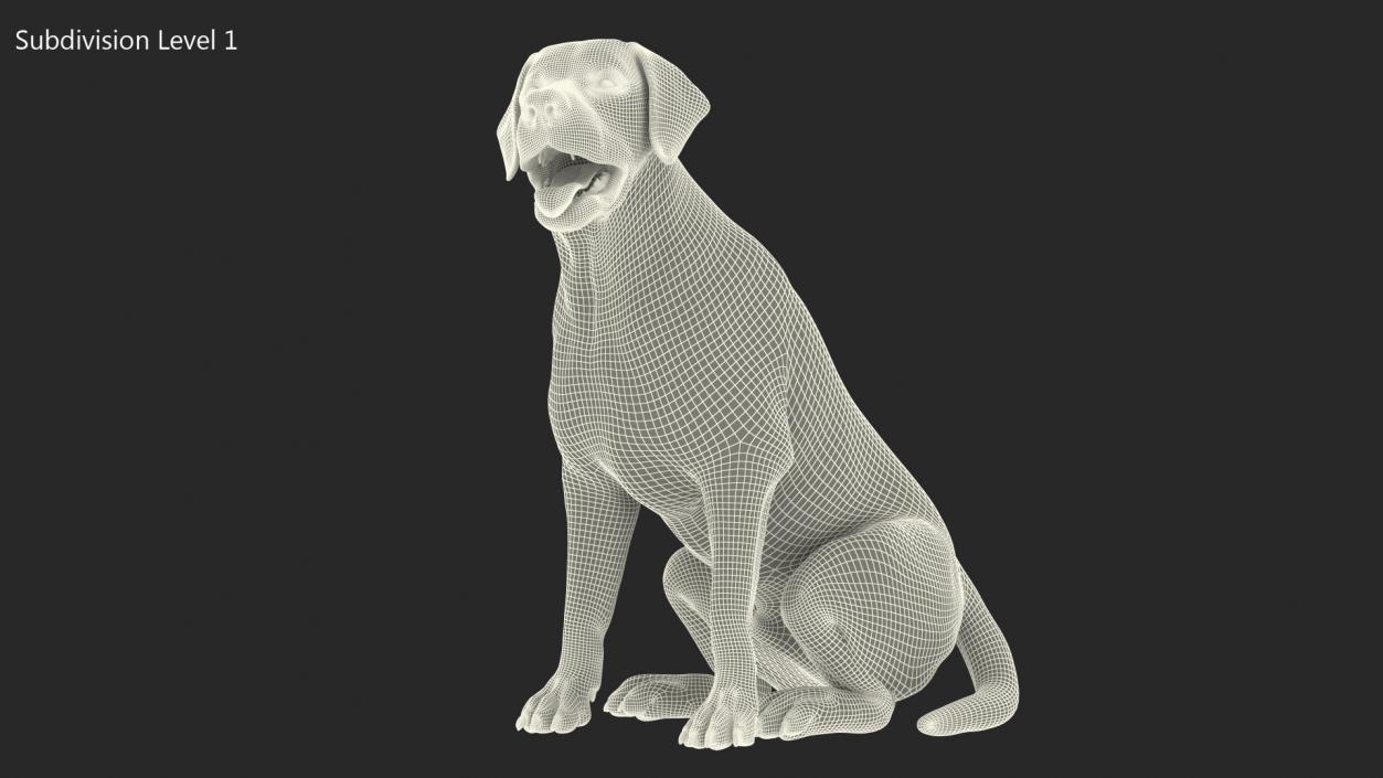 3D Labrador Dog Brown Sitting