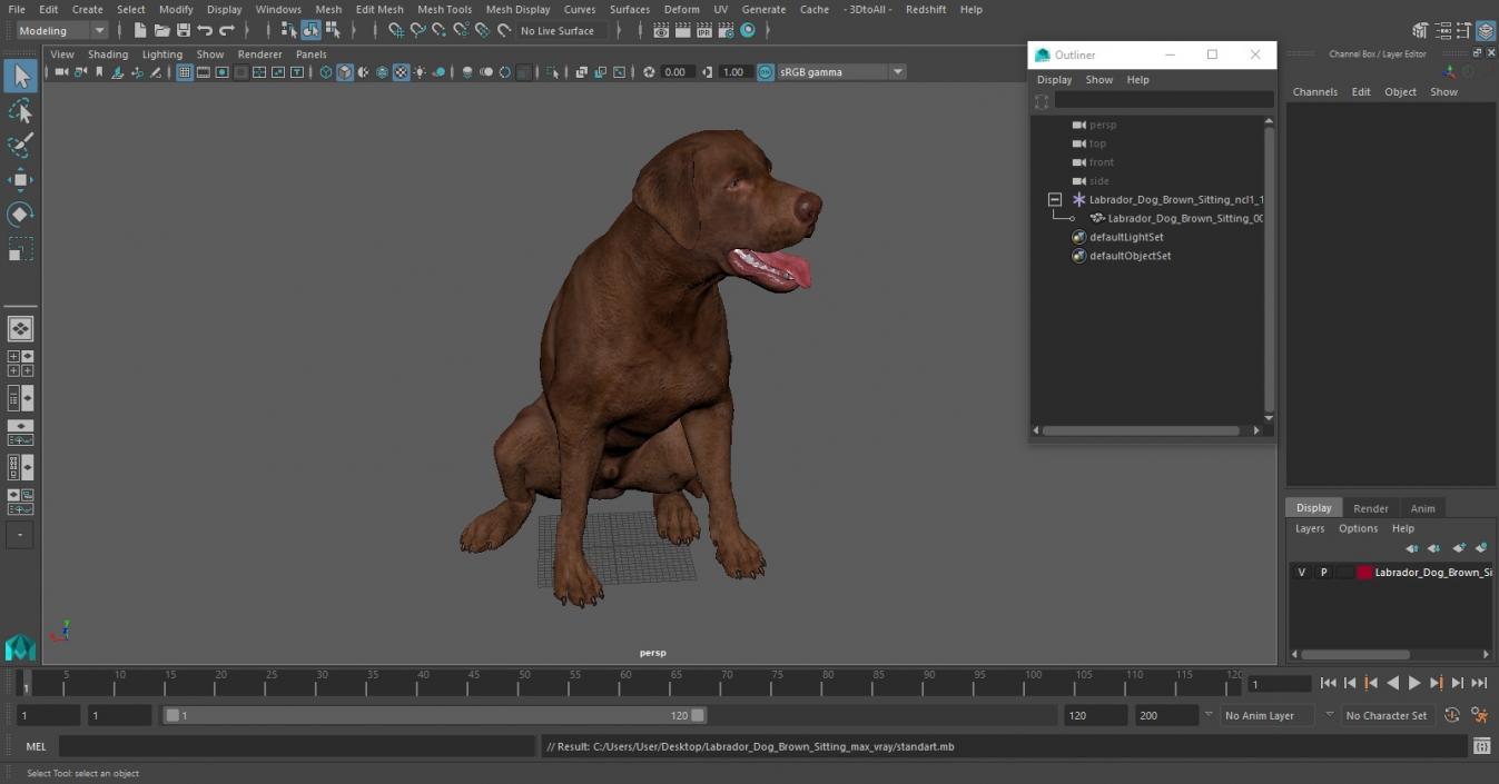 3D Labrador Dog Brown Sitting