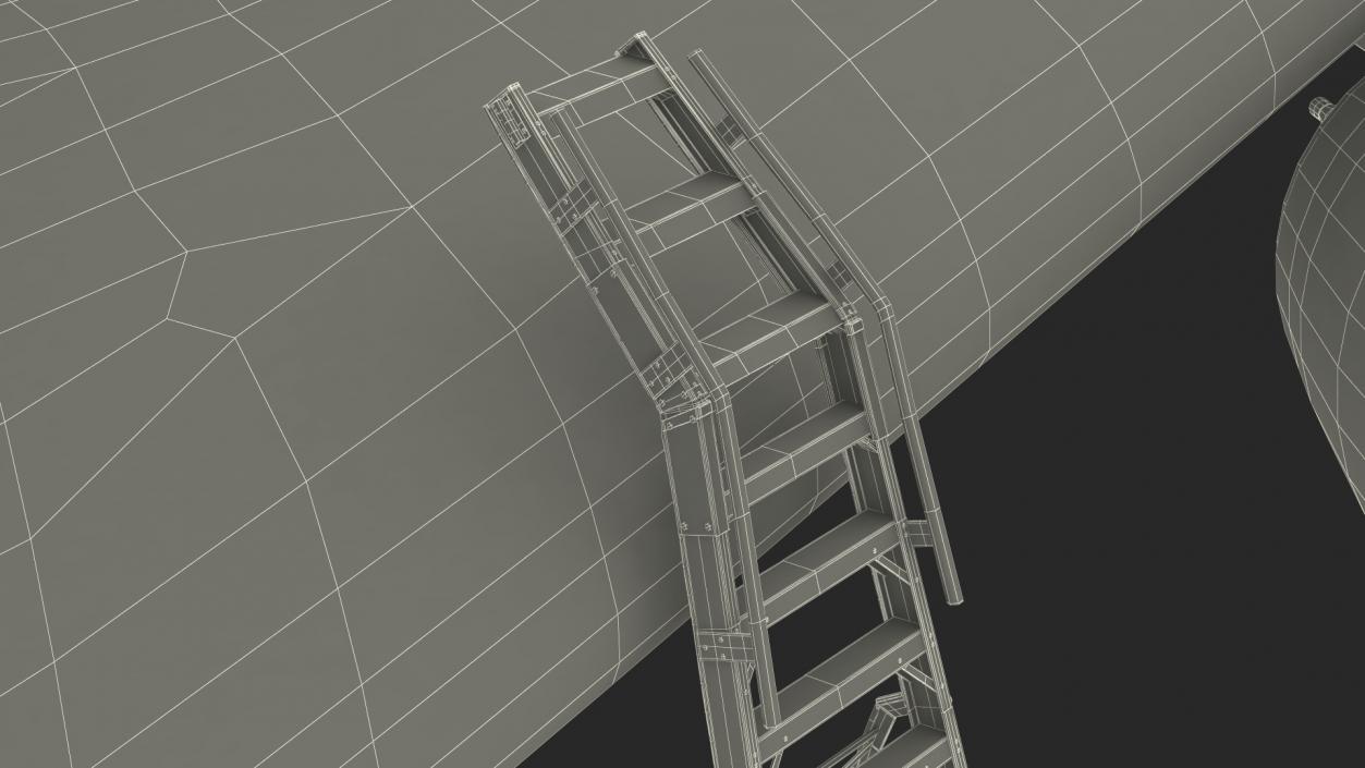 3D model Aircraft Pylon Ladder with Airplane