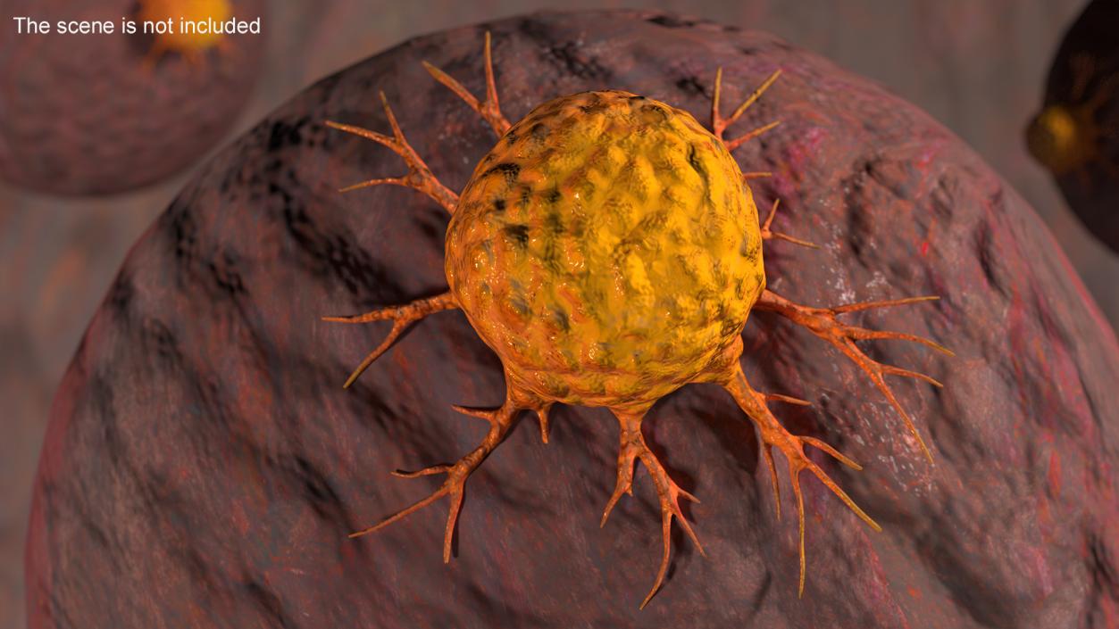 3D Cancer Cell