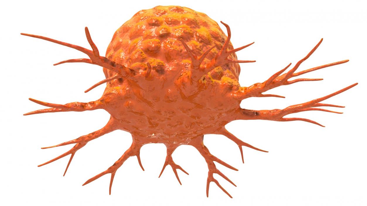 3D Cancer Cell