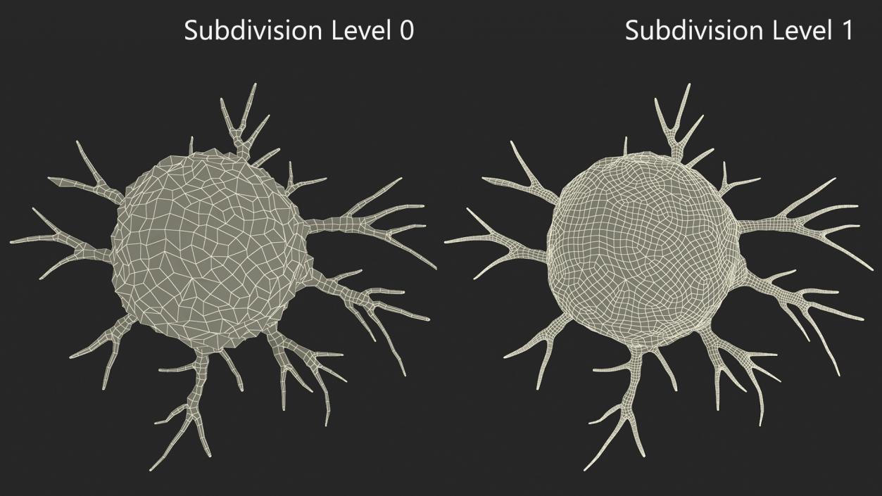 3D Cancer Cell