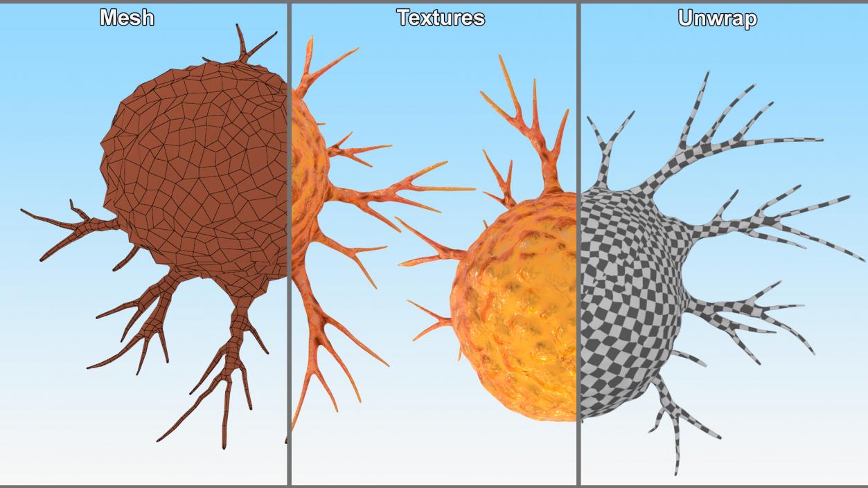 3D Cancer Cell