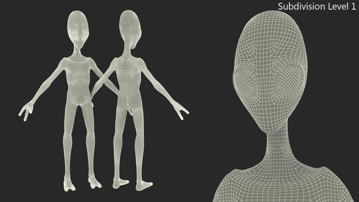 Extraterrestrial Alien T Pose 3D model