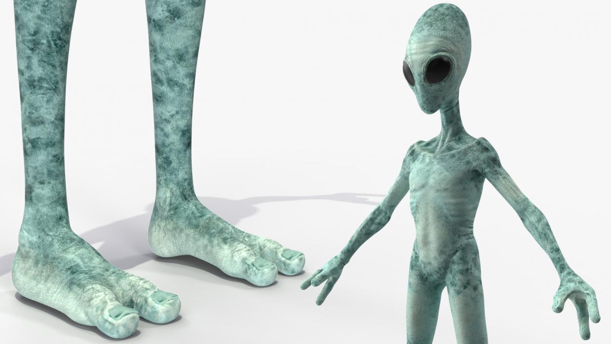 Extraterrestrial Alien T Pose 3D model