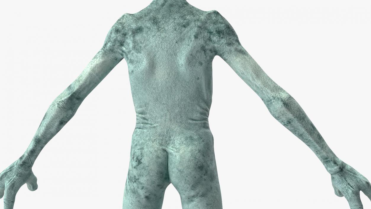 Extraterrestrial Alien T Pose 3D model