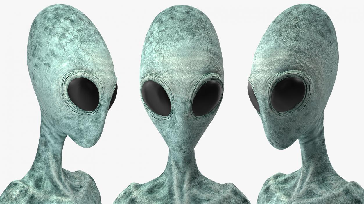 Extraterrestrial Alien T Pose 3D model