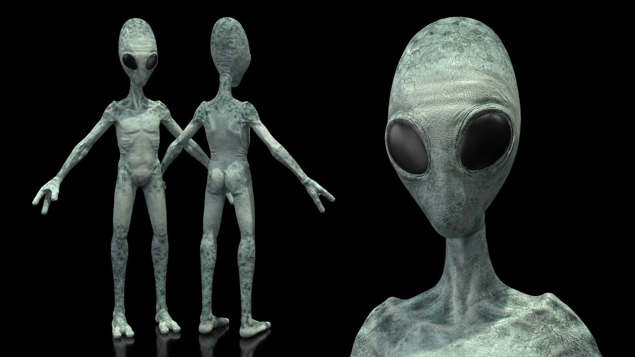 Extraterrestrial Alien T Pose 3D model