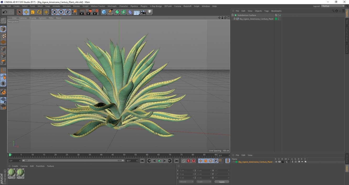 3D Big Agave Americana Century Plant model