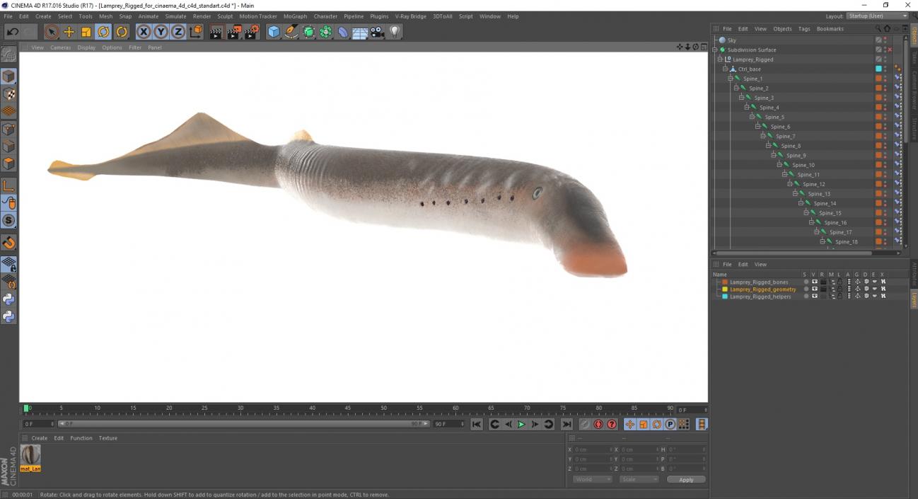 3D Lamprey Rigged for Cinema 4D model