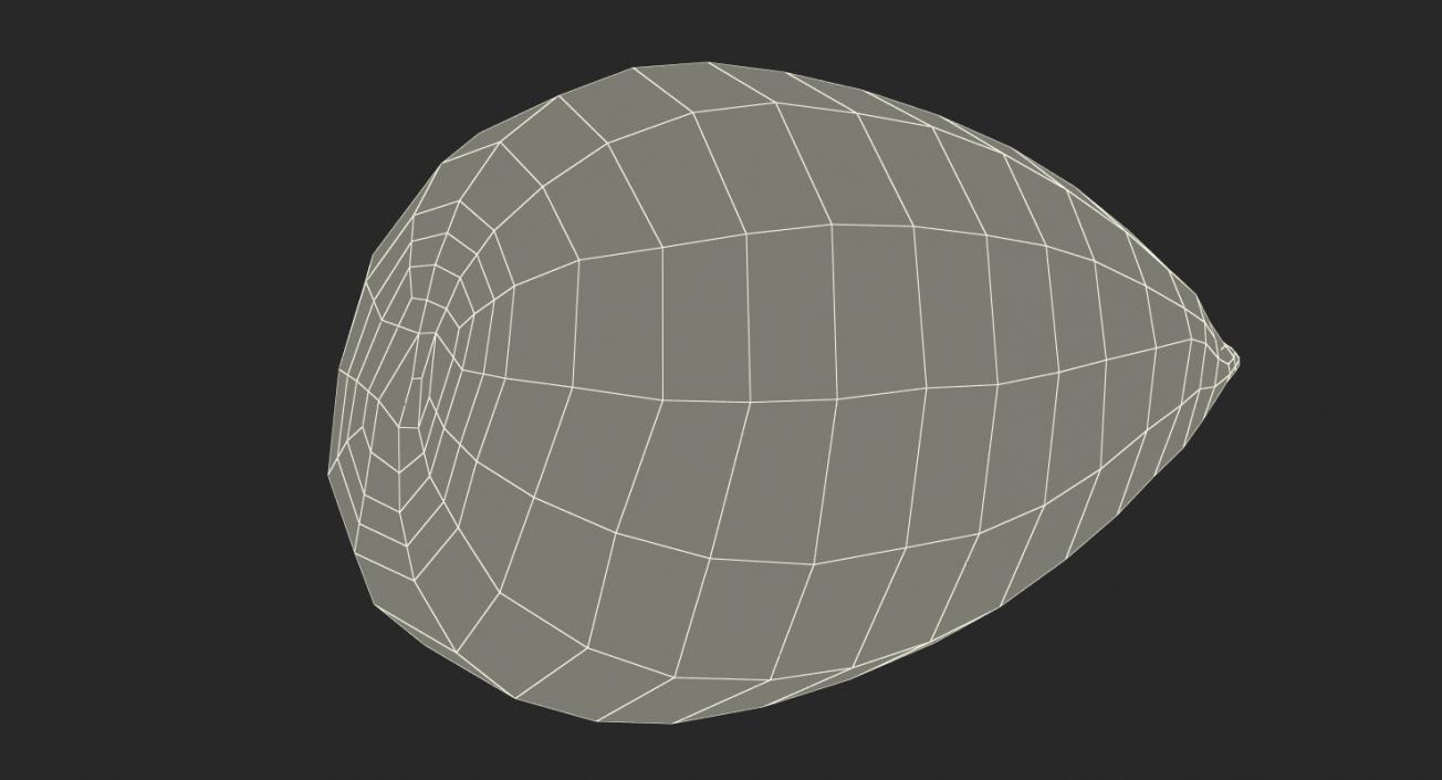 Avocado Seed 3D