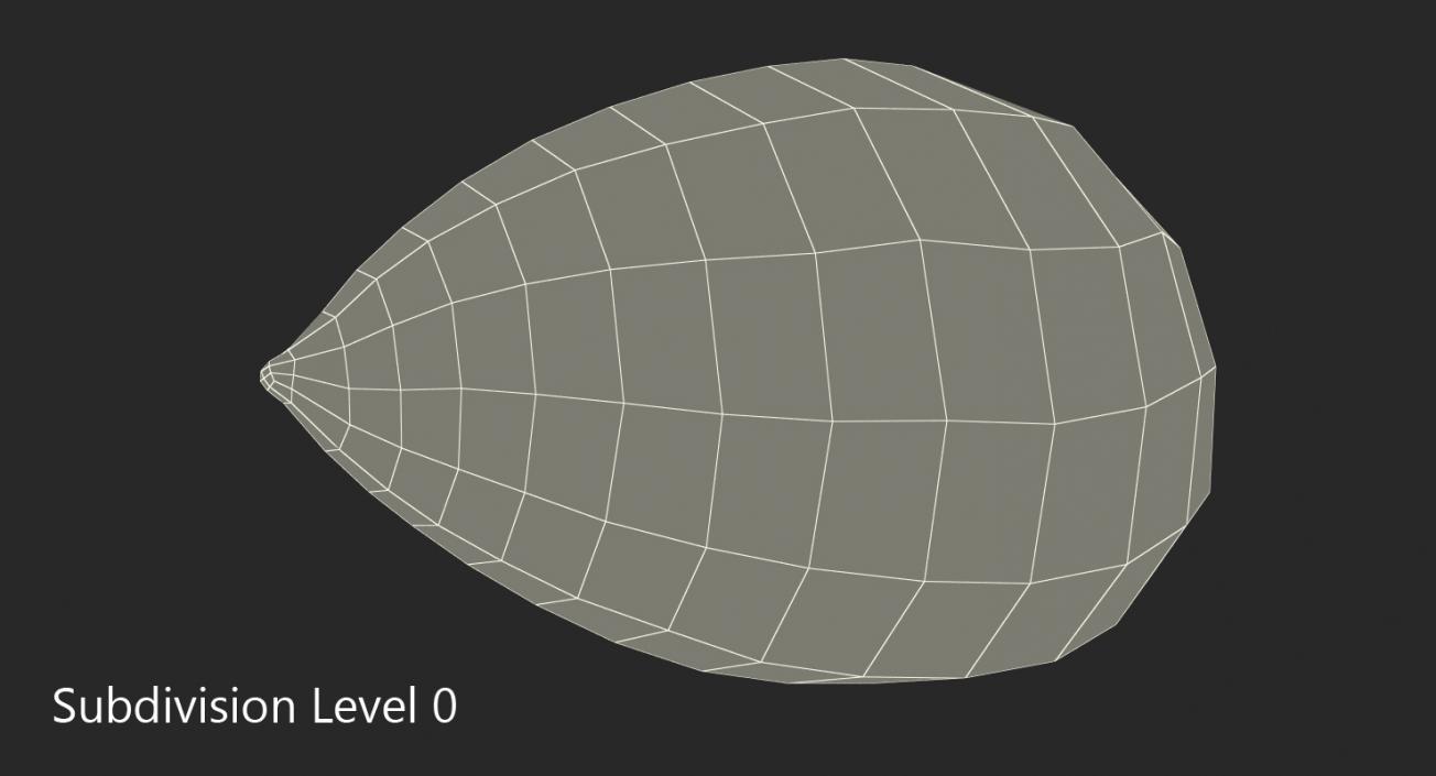 Avocado Seed 3D