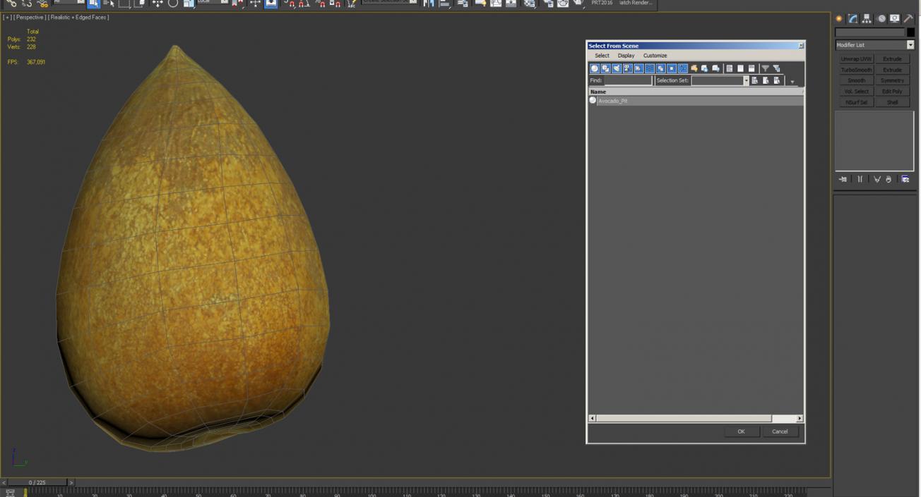 Avocado Seed 3D