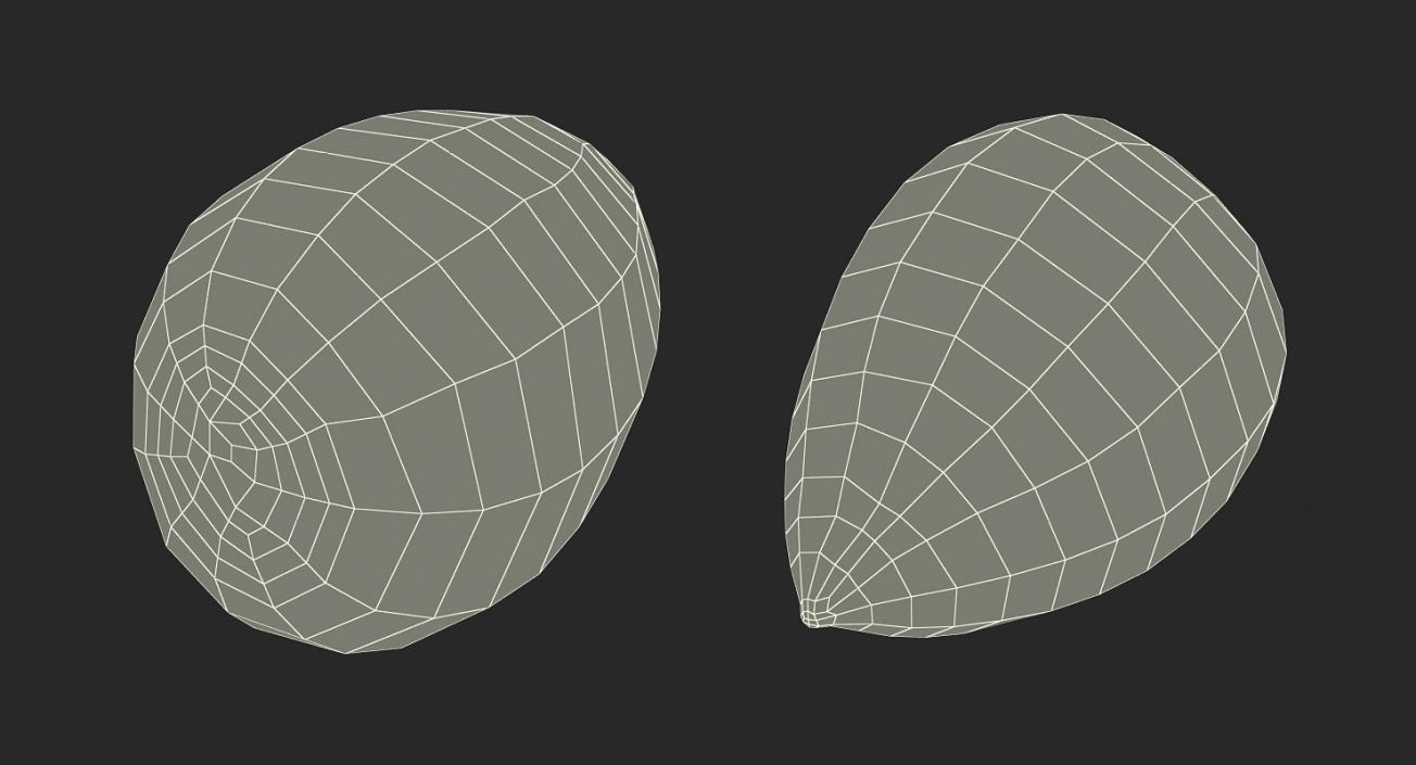 Avocado Seed 3D