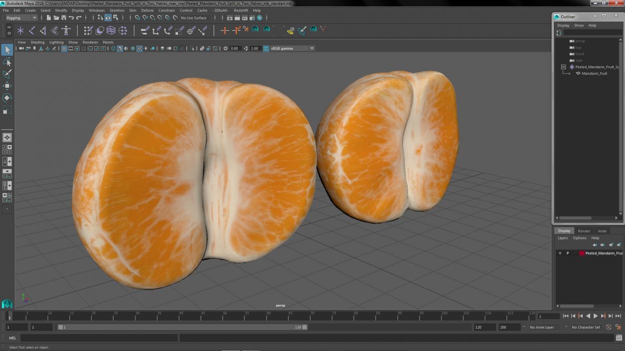 3D Peeled Mandarin Fruit Split in Two Halves