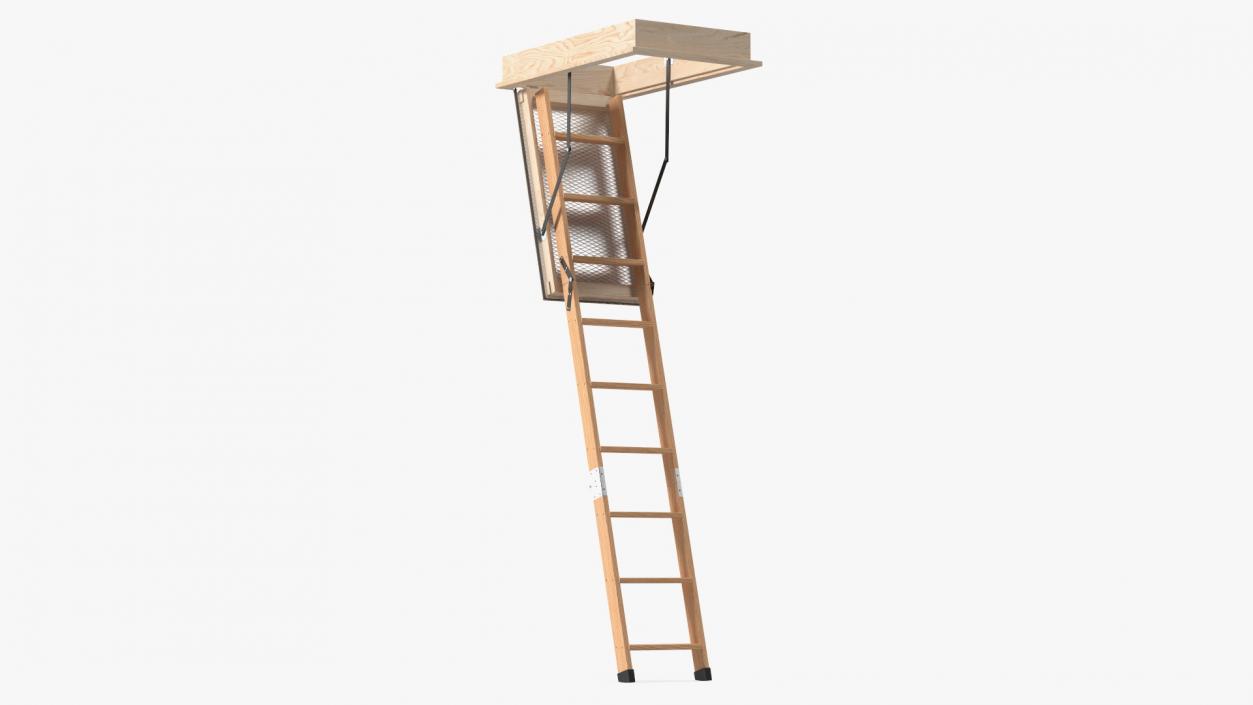 Attic Ladder 3D