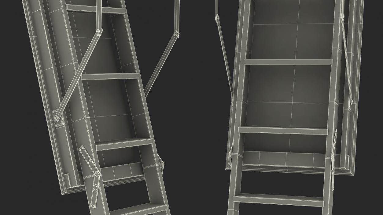 Attic Ladder 3D