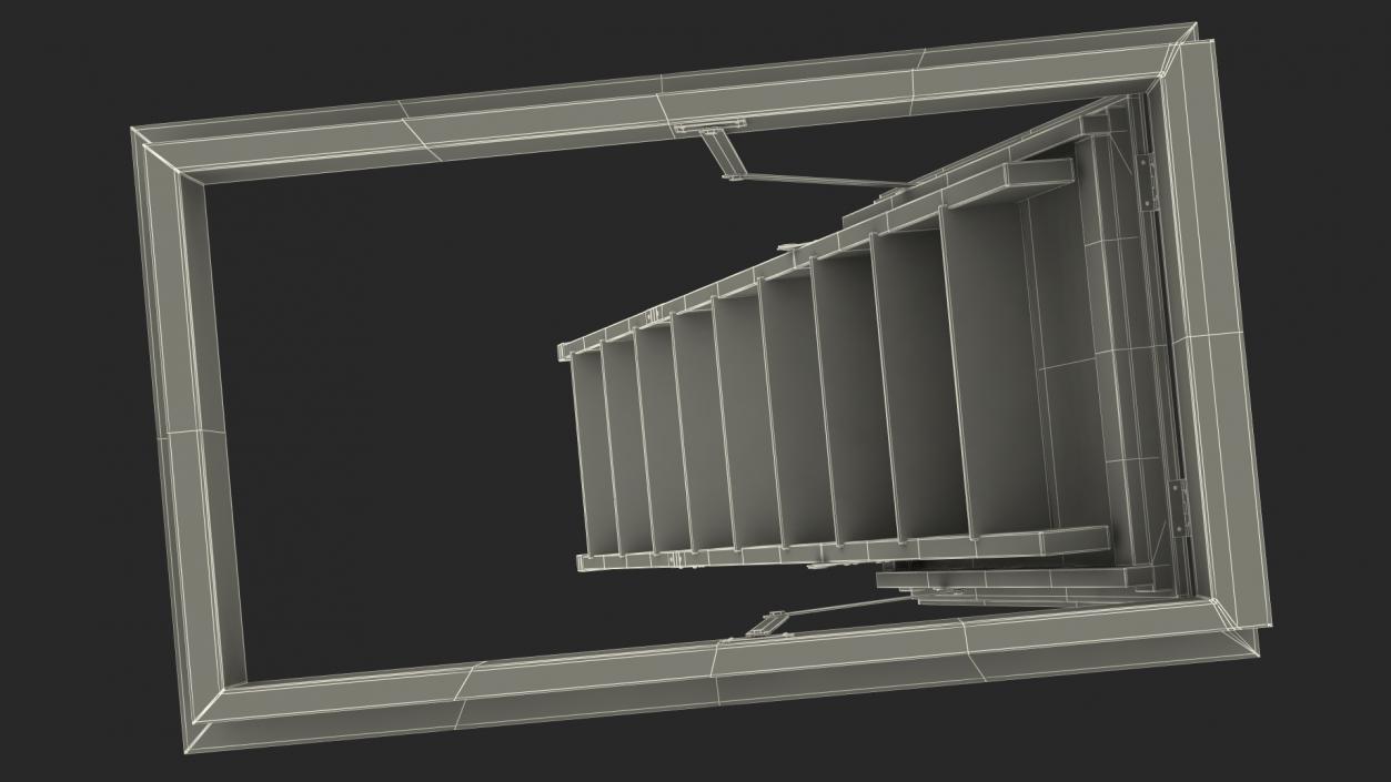 Attic Ladder 3D