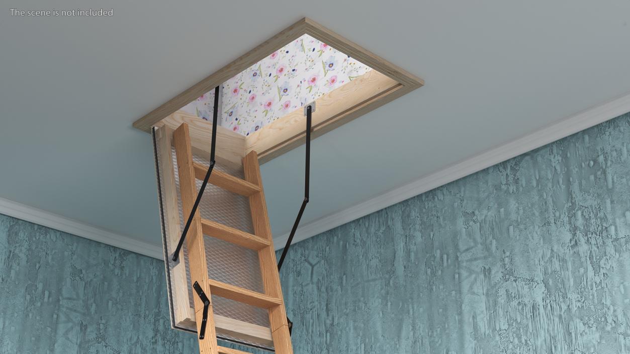 Attic Ladder 3D