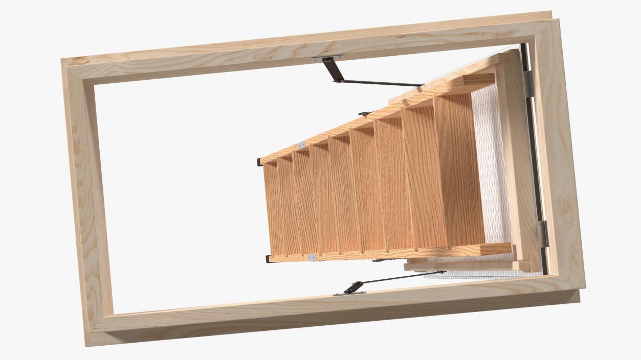 Attic Ladder 3D