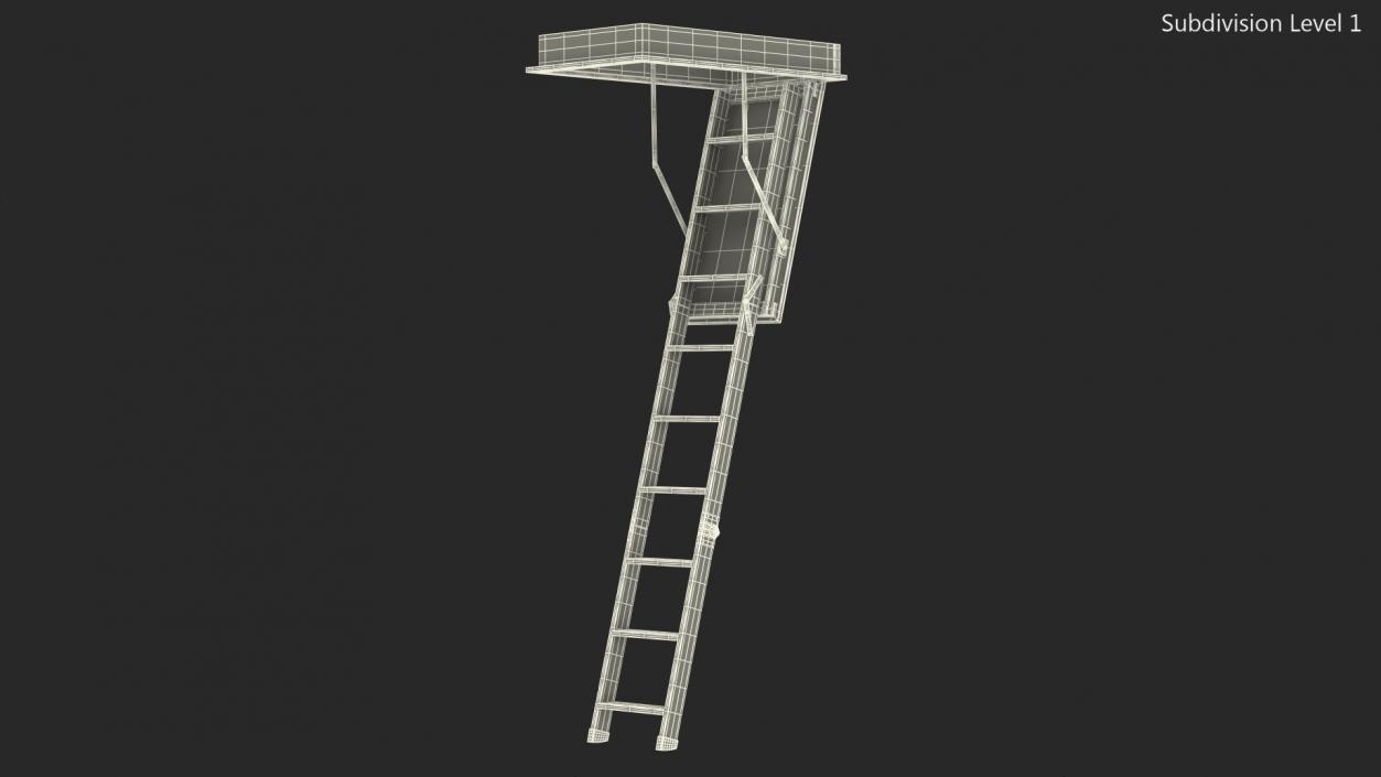 Attic Ladder 3D