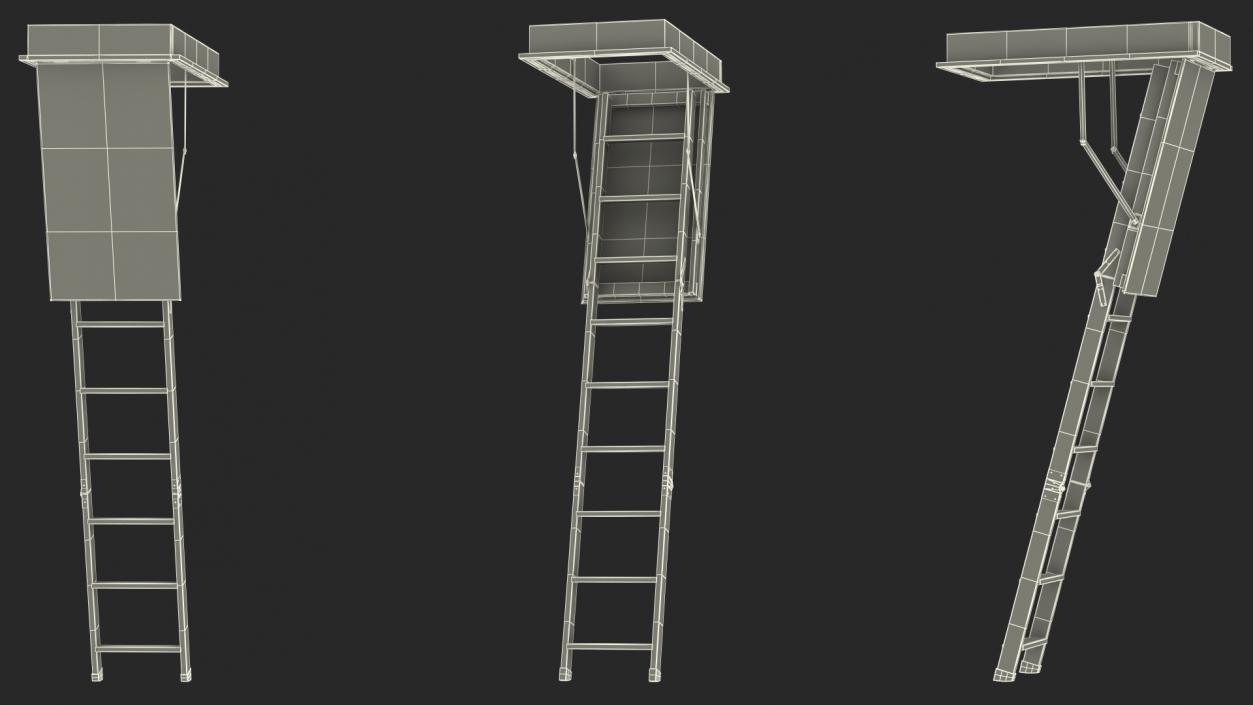 Attic Ladder 3D