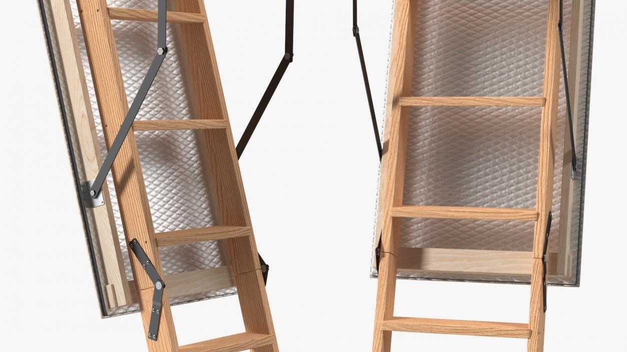 Attic Ladder 3D