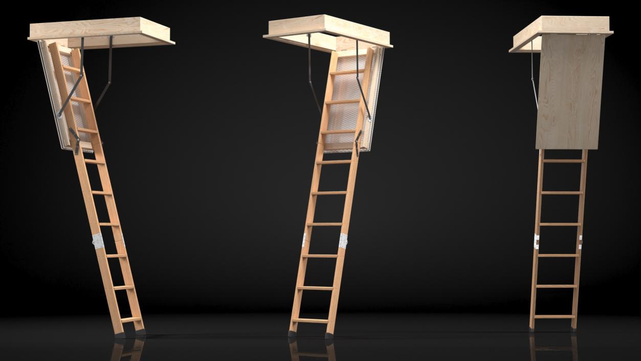 Attic Ladder 3D