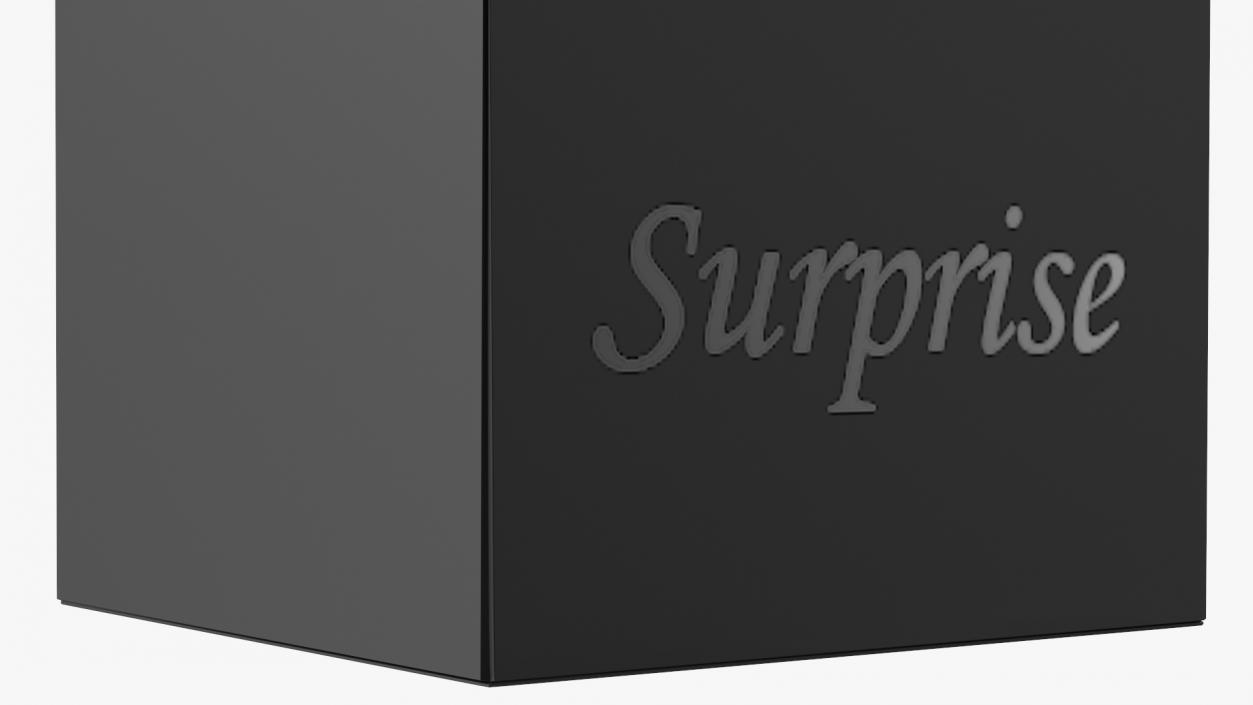 Black Cardboard Gift Box 3D model