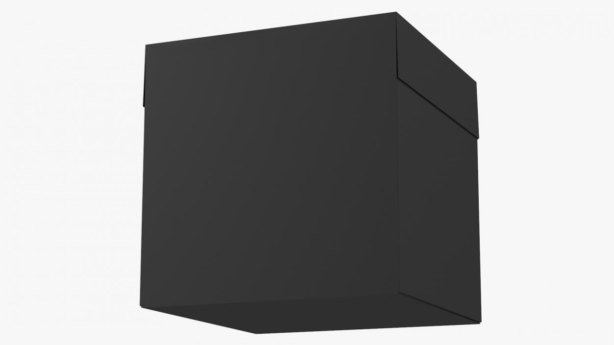 Black Cardboard Gift Box 3D model