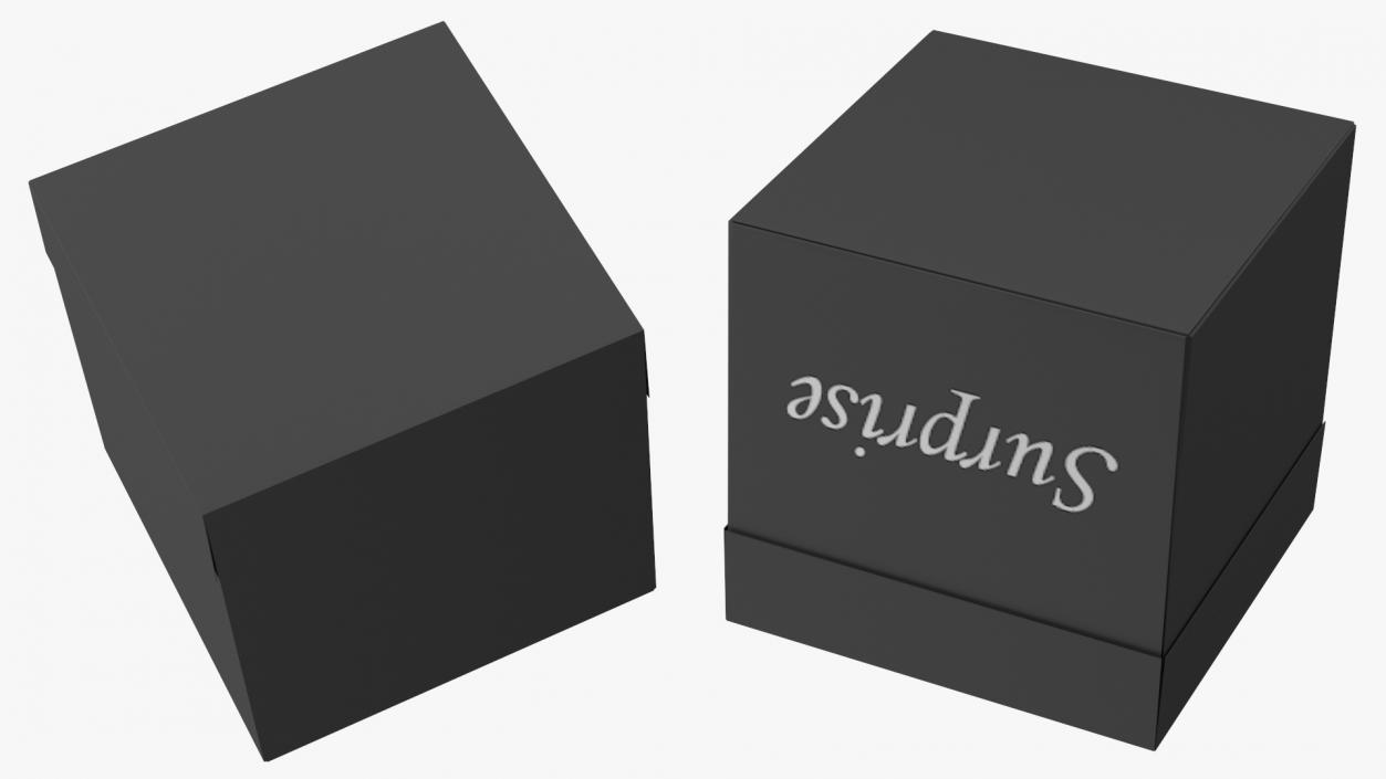 Black Cardboard Gift Box 3D model