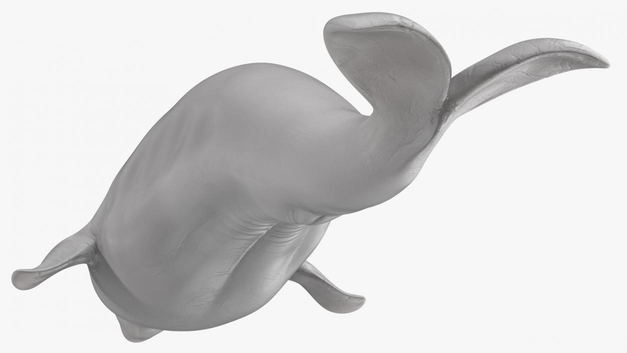 3D Beluga Whale Young model