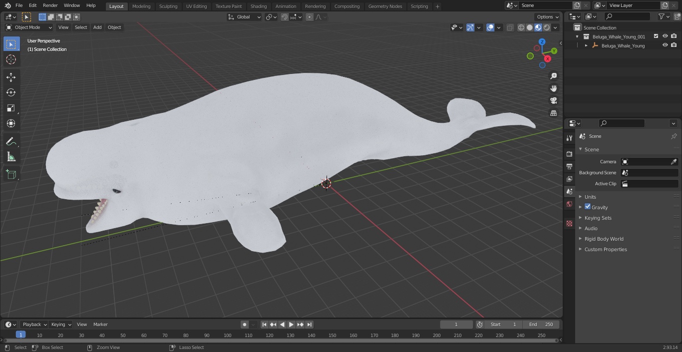 3D Beluga Whale Young model