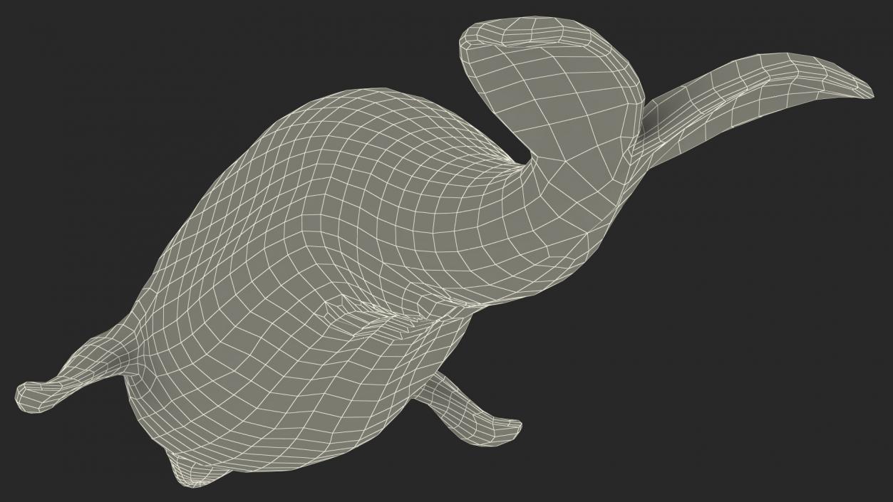 3D Beluga Whale Young model