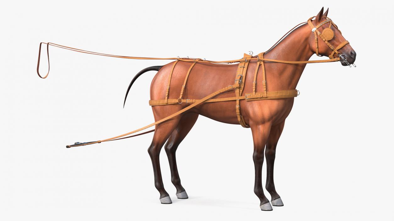 3D Horse Leather Single Driving Harness