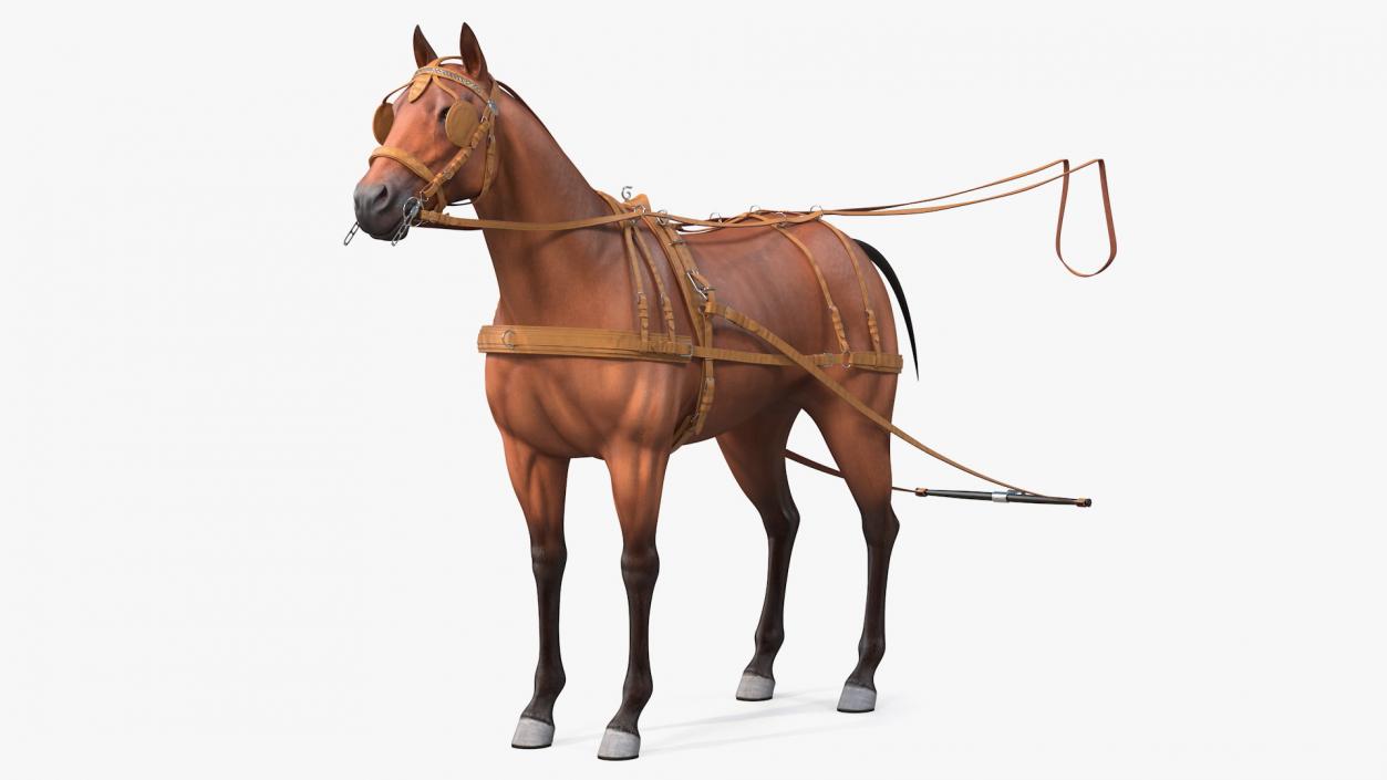 3D Horse Leather Single Driving Harness