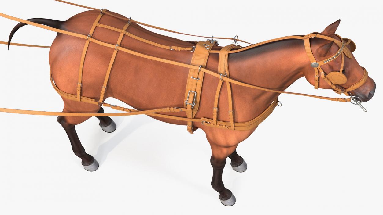 3D Horse Leather Single Driving Harness