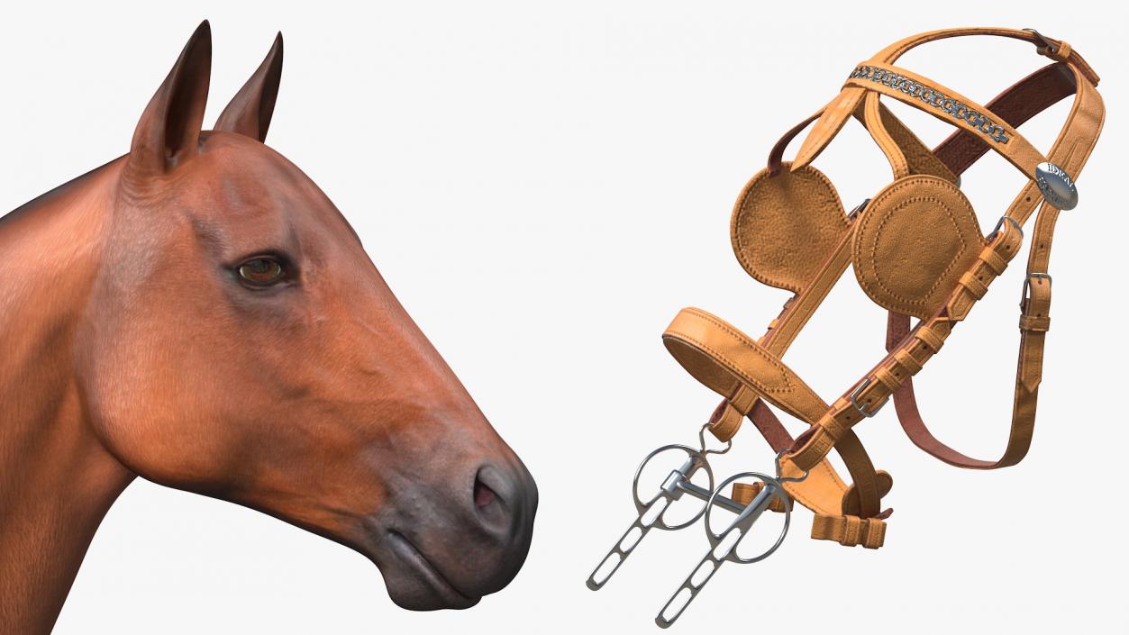 3D Horse Leather Single Driving Harness