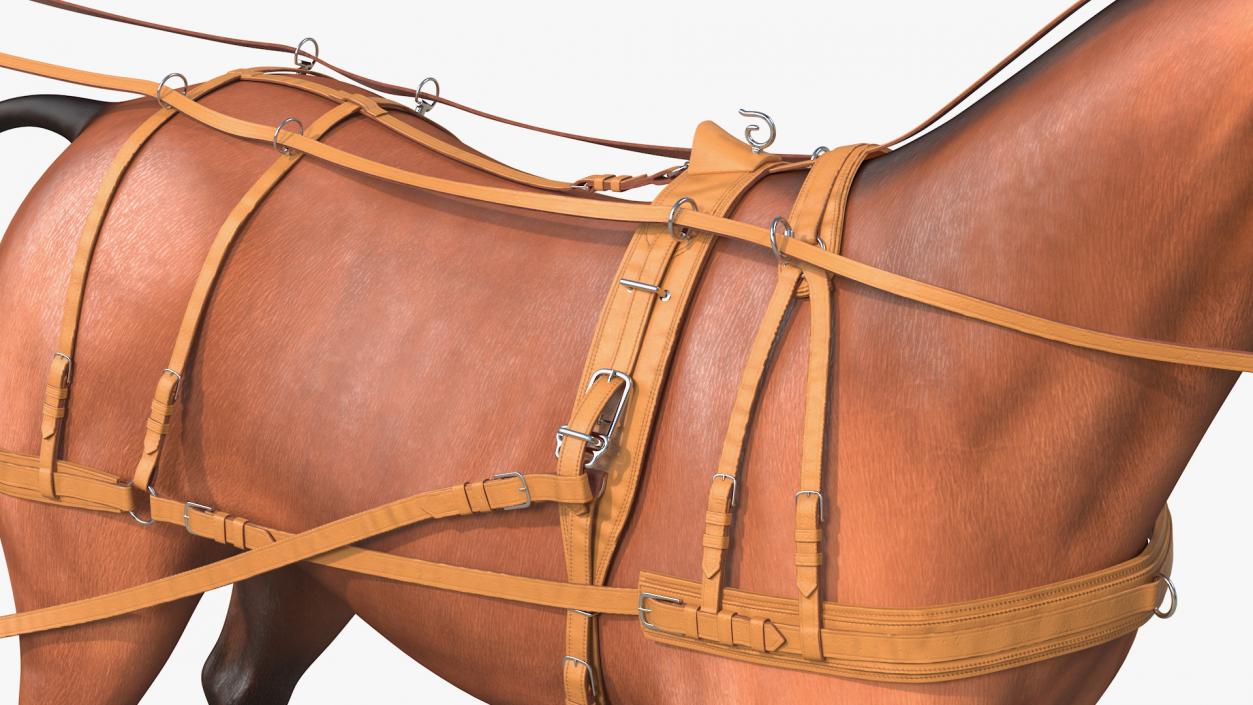 3D Horse Leather Single Driving Harness