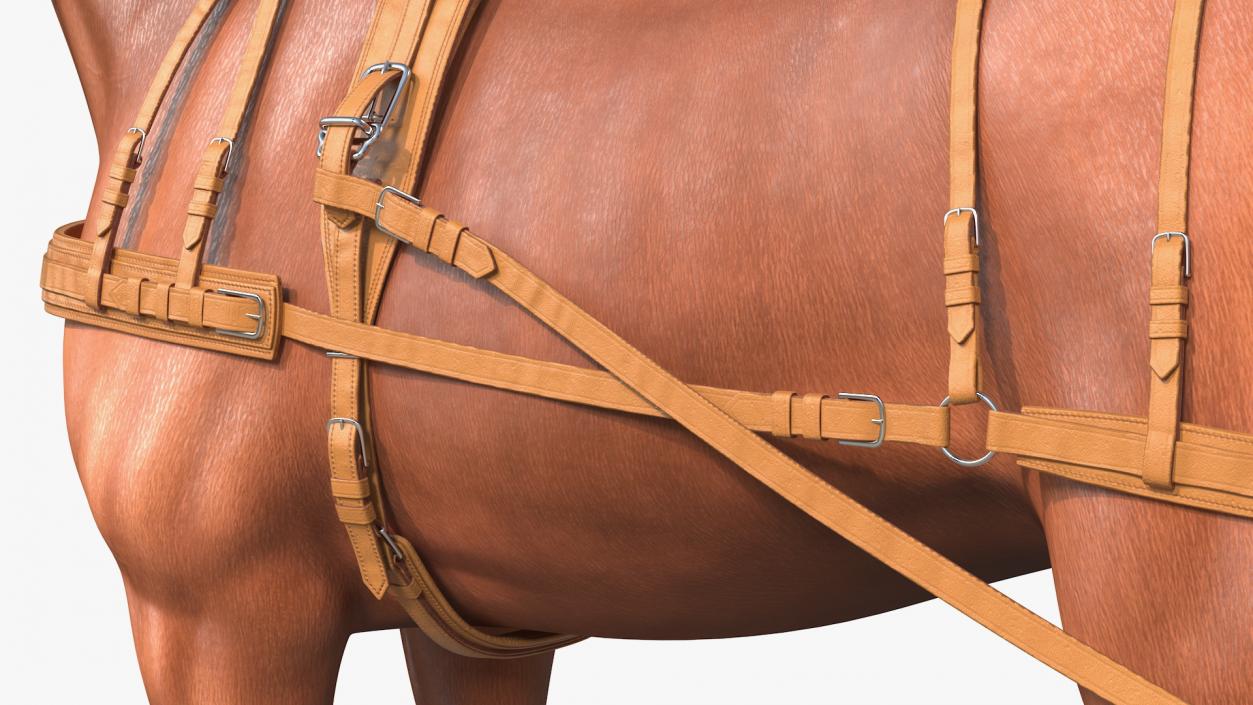 3D Horse Leather Single Driving Harness