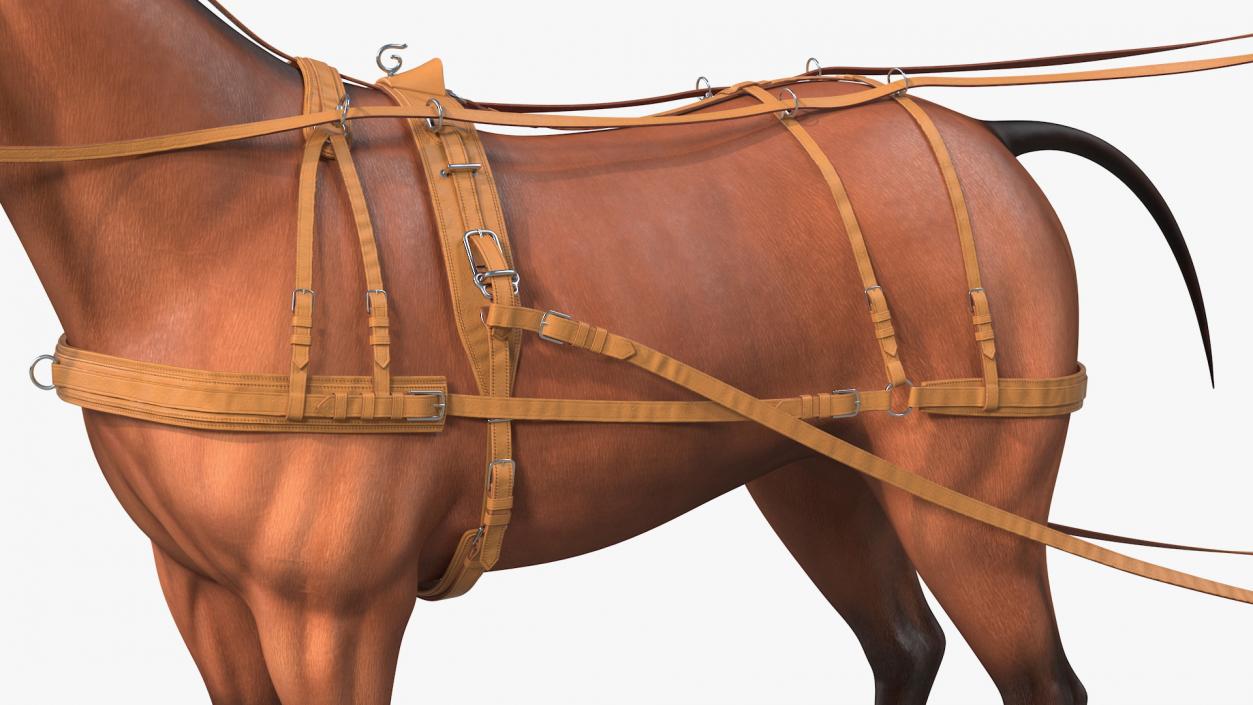 3D Horse Leather Single Driving Harness