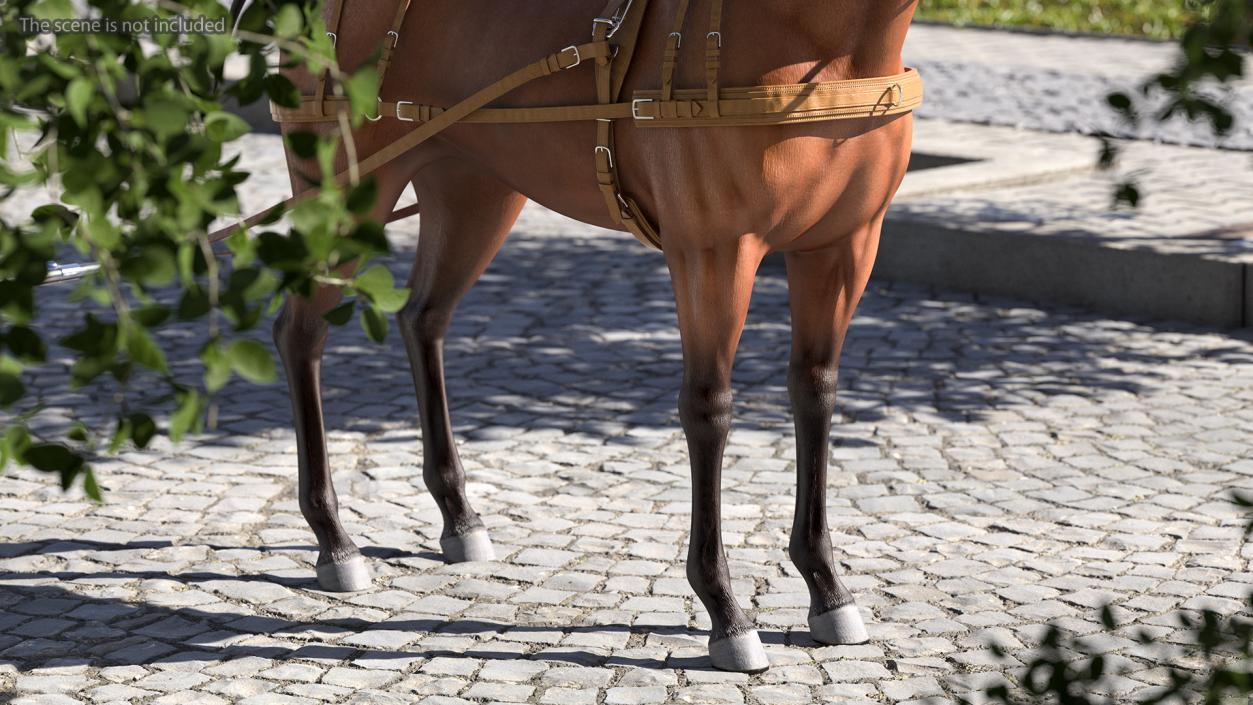 3D Horse Leather Single Driving Harness