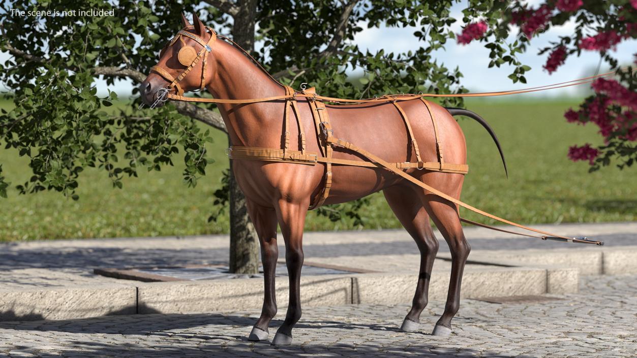 3D Horse Leather Single Driving Harness