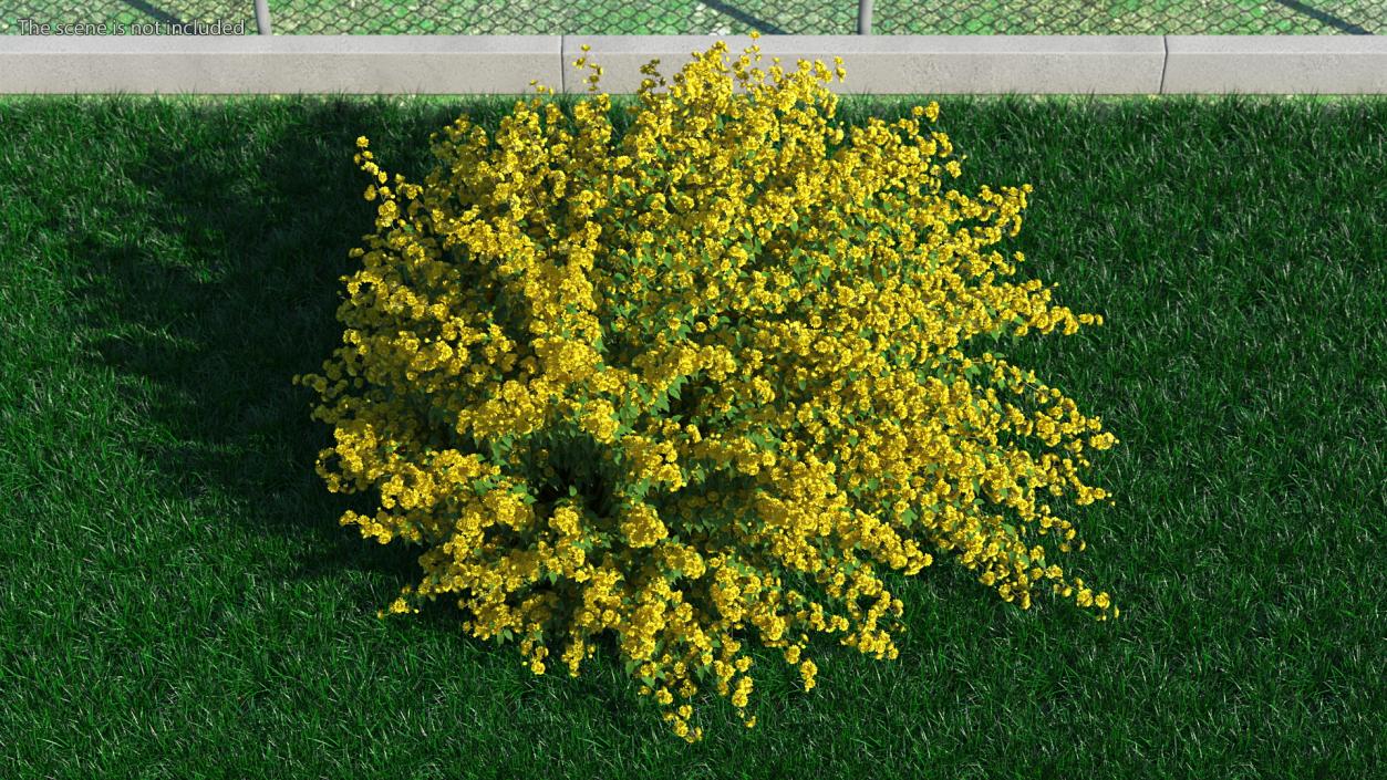 Bushes Collection 8 3D model