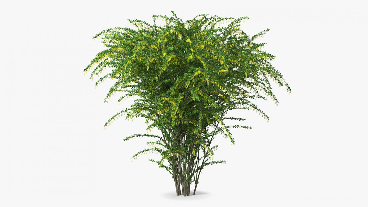 Bushes Collection 8 3D model