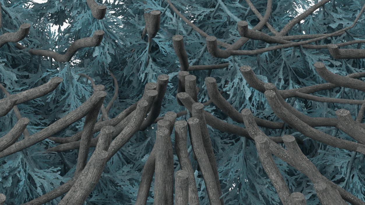 Bushes Collection 8 3D model