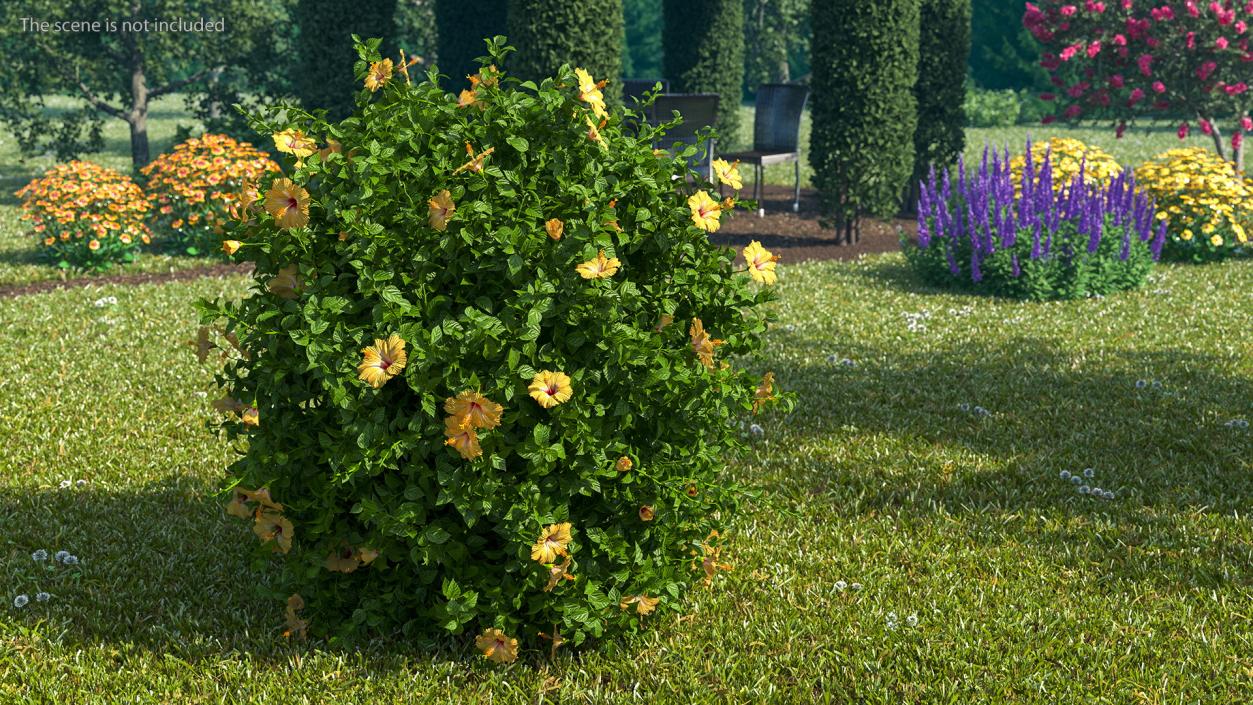 Bushes Collection 8 3D model