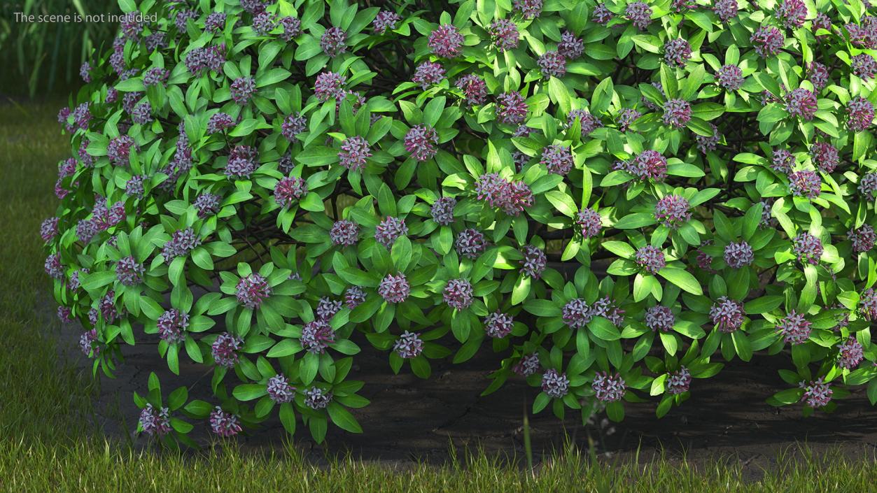 Bushes Collection 8 3D model