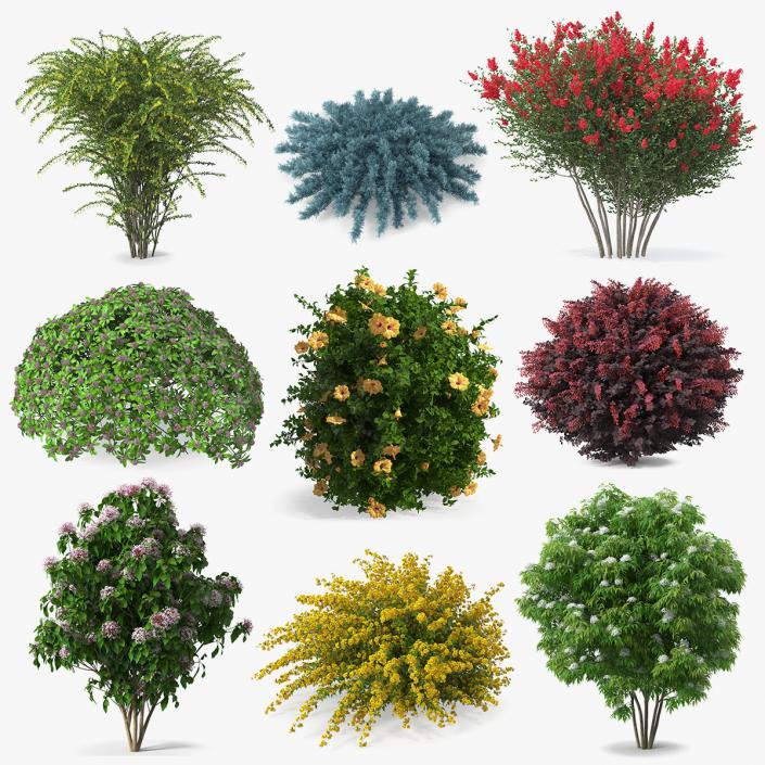 Bushes Collection 8 3D model